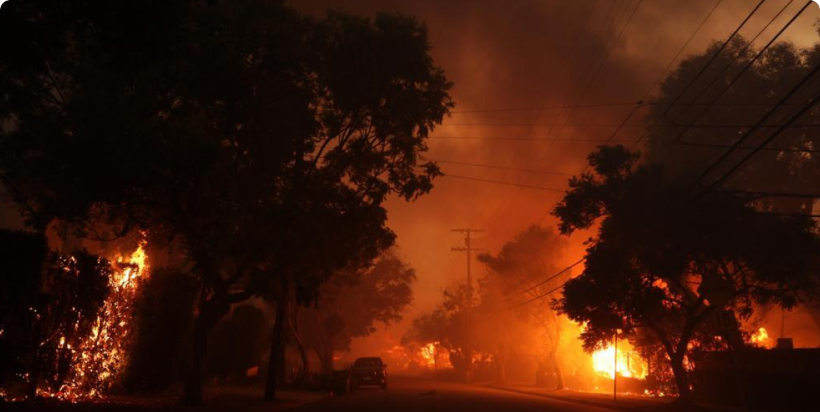 Wildfire